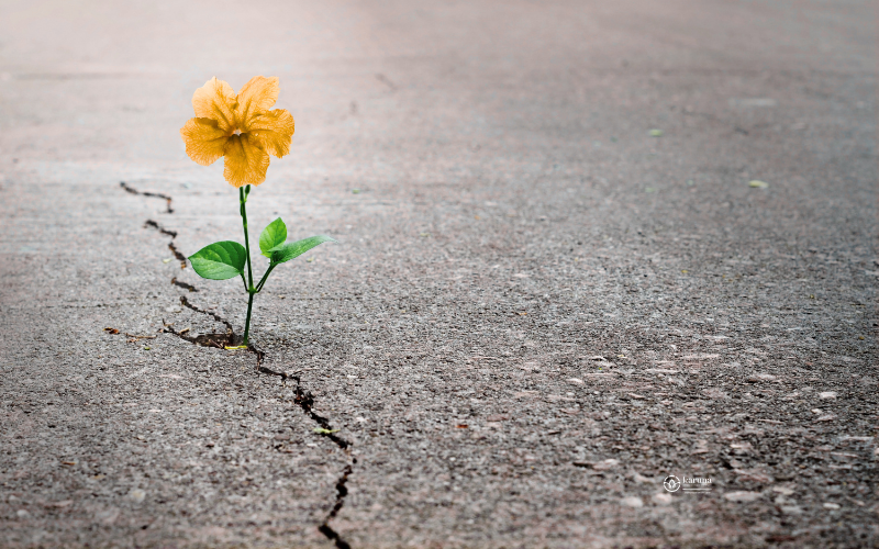 Grief into activism