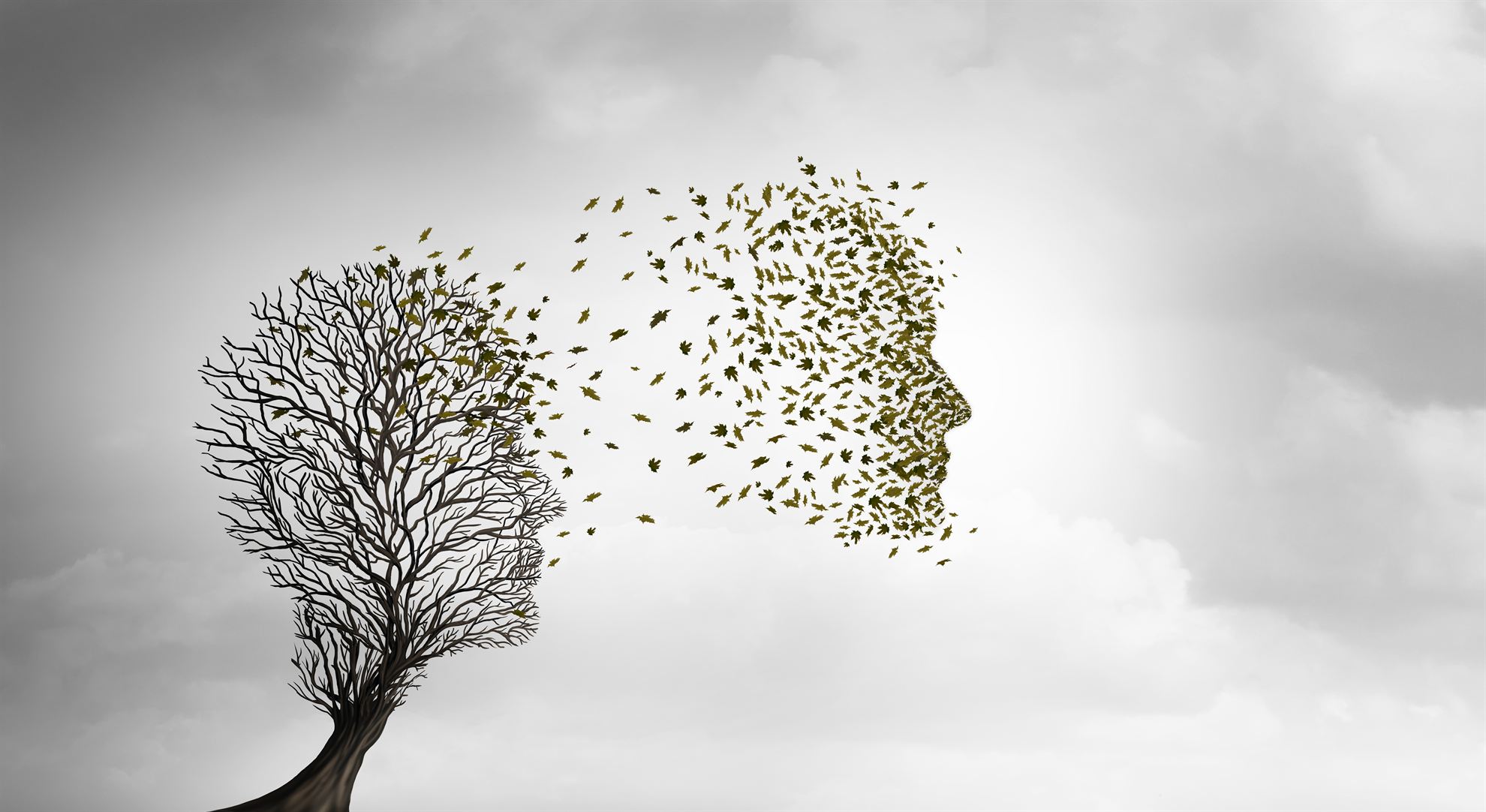 A tree with branches shaped like a face, disintegrating into leaves against a cloudy background.