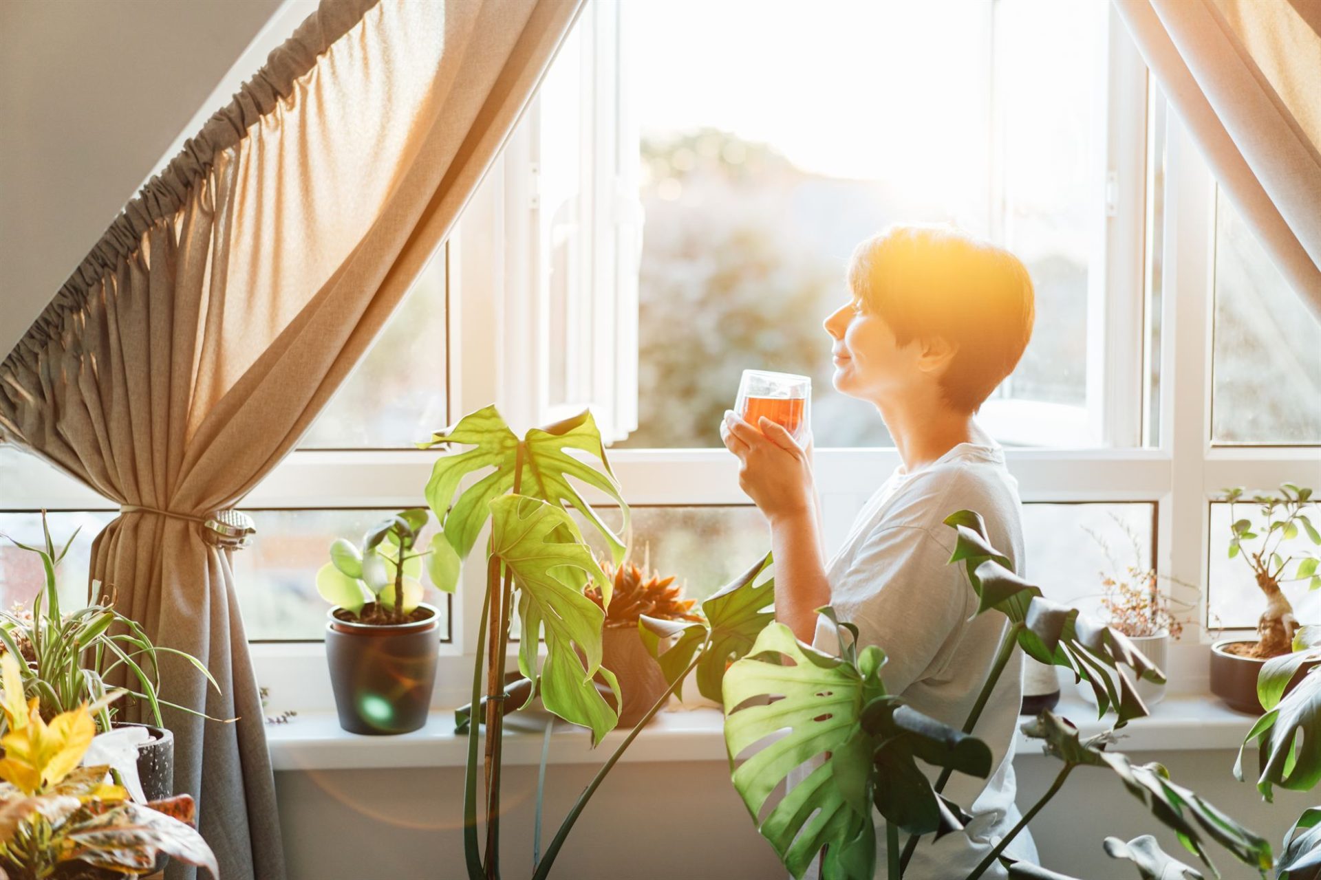 A person holds a glass by a window surrounded by various indoor plants, with sunlight streaming in.