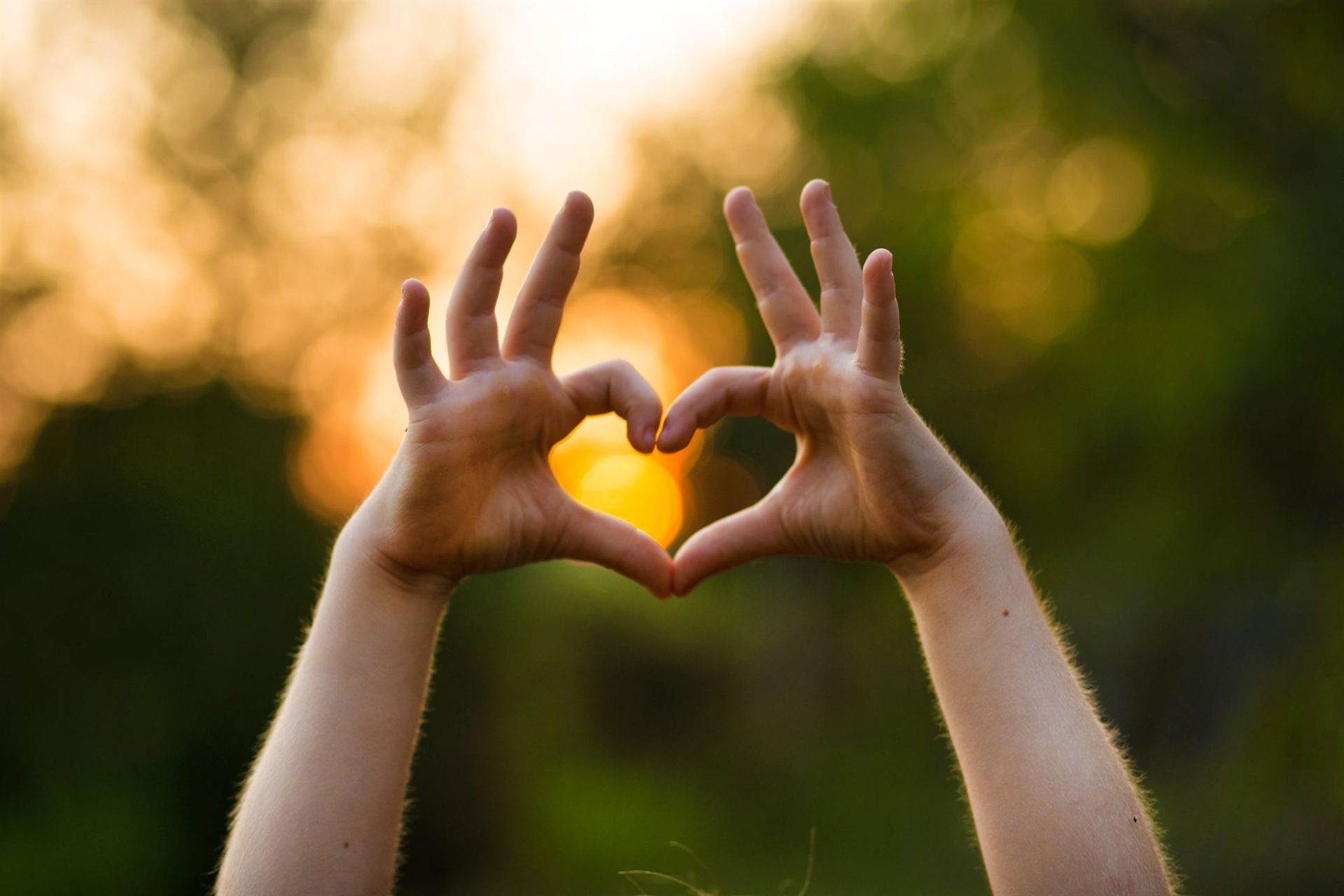 Hands forming a heart shape against a blurred sunset background, symbolizing love and connection.